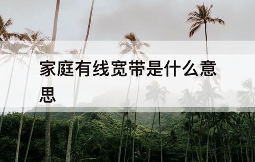 家庭有线宽带是什么意思