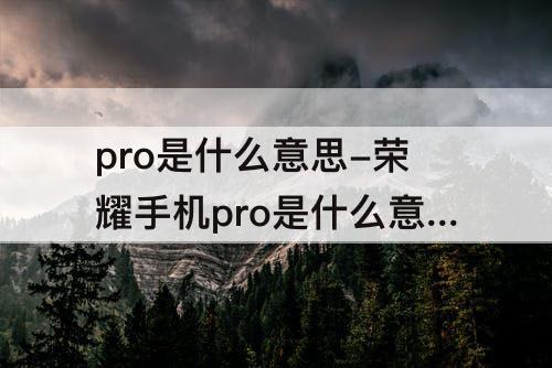 pro是什么意思-荣耀手机pro是什么意思