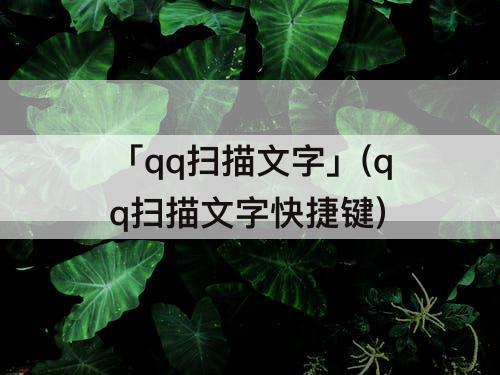 「qq扫描文字」(qq扫描文字快捷键)
