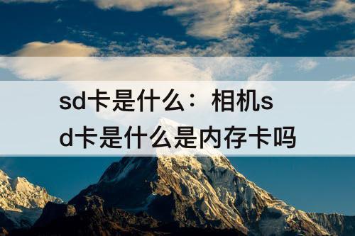 sd卡是什么：相机sd卡是什么是内存卡吗