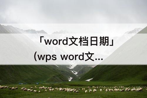 「word文档日期」(wps word文档日期格式)