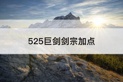 525巨剑剑宗加点