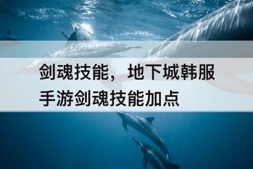 剑魂技能，地下城韩服手游剑魂技能加点