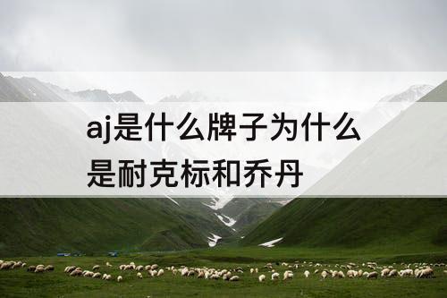 aj是什么牌子为什么是耐克标和乔丹
