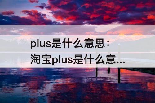 plus是什么意思：淘宝plus是什么意思翻译