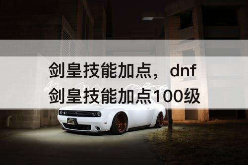 剑皇技能加点，dnf剑皇技能加点100级