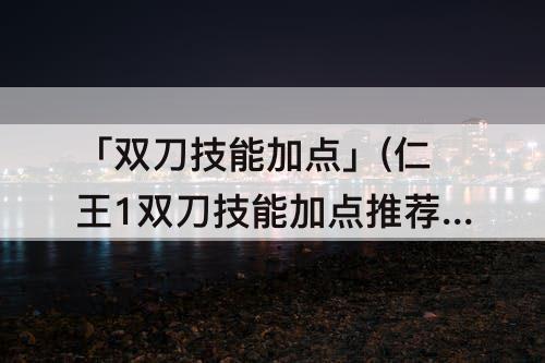 「双刀技能加点」(仁王1双刀技能加点推荐)