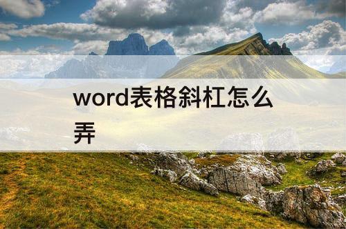 word表格斜杠怎么弄