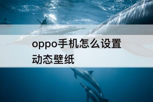 oppo手机怎么设置动态壁纸