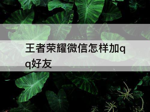 王者荣耀微信怎样加qq好友