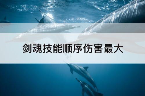 剑魂技能顺序伤害最大