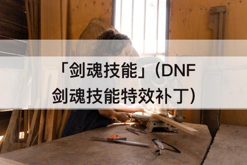 「剑魂技能」(DNF剑魂技能特效补丁)