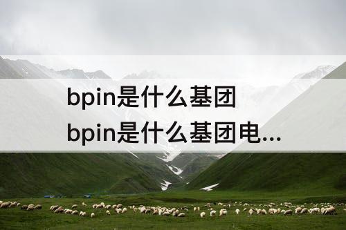 bpin是什么基团 bpin是什么基团电性