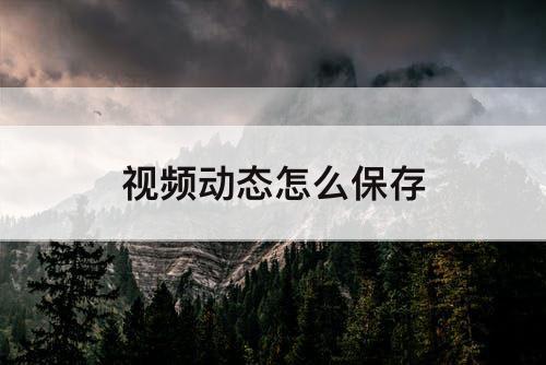 视频动态怎么保存
