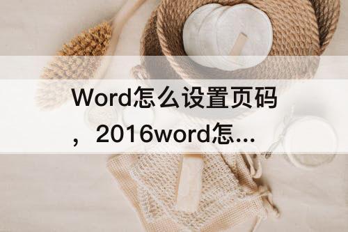 Word怎么设置页码，2016word怎么设置页码