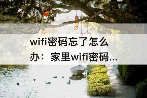 wifi密码忘了怎么办：家里wifi密码忘了怎么办