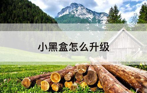小黑盒怎么升级