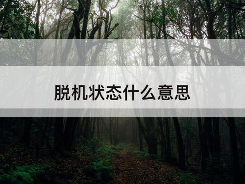 脱机状态什么意思