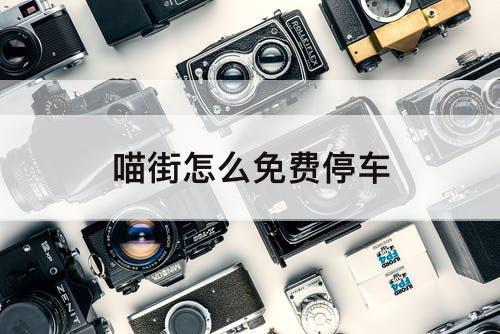 喵街怎么免费停车
