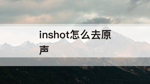 inshot怎么去原声