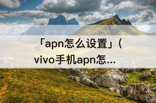「apn怎么设置」(vivo手机apn怎么设置)