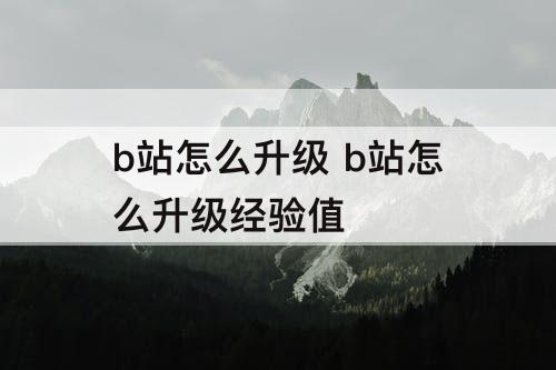 b站怎么升级 b站怎么升级经验值