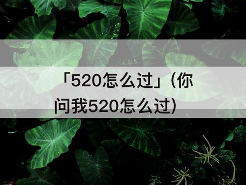 「520怎么过」(你问我520怎么过)