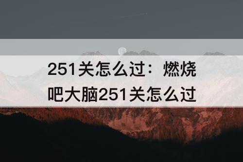 251关怎么过：燃烧吧大脑251关怎么过