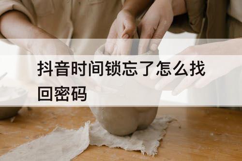 抖音时间锁忘了怎么找回密码