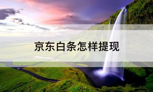 京东白条怎样提现