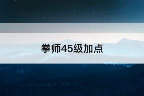 拳师45级加点