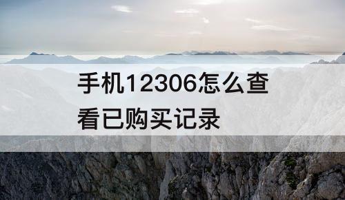 手机12306怎么查看已购买记录