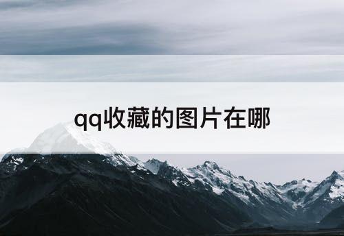 qq收藏的图片在哪