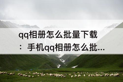 qq相册怎么批量下载：手机qq相册怎么批量下载原图