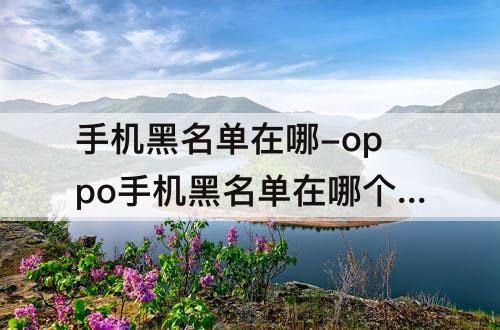 手机黑名单在哪-oppo手机黑名单在哪个里面找r11