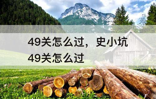 49关怎么过，史小坑49关怎么过