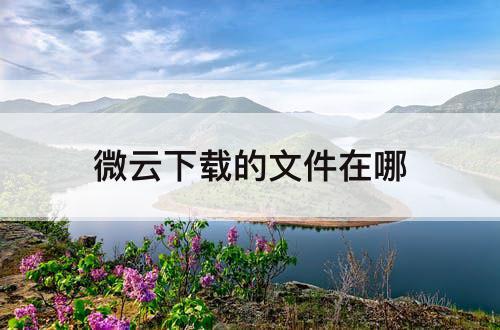 微云下载的文件在哪