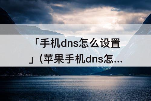 「手机dns怎么设置」(苹果手机dns怎么设置才能上网)