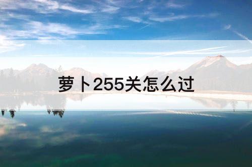 萝卜255关怎么过