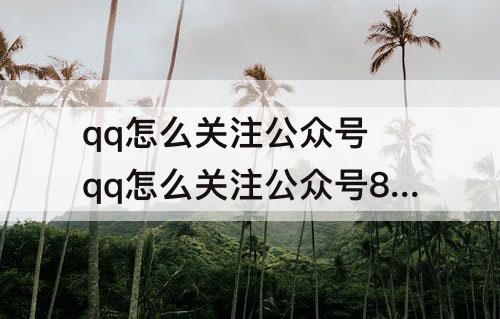 qq怎么关注公众号 qq怎么关注公众号8.8.38