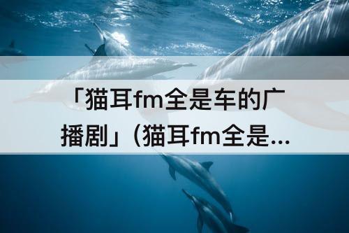 「猫耳fm全是车的广播剧」(猫耳fm全是车的广播剧社交温度)