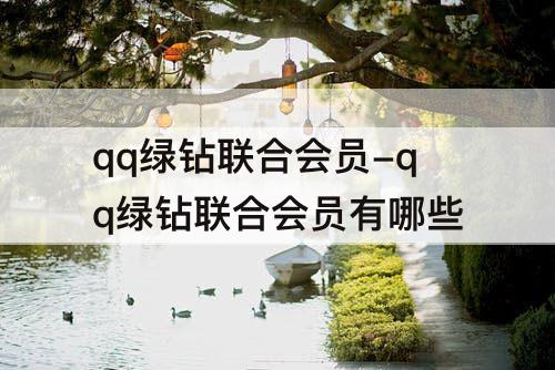 qq绿钻联合会员-qq绿钻联合会员有哪些