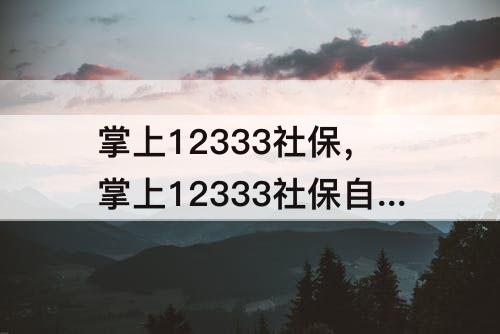 掌上12333社保，掌上12333社保自助认证流程