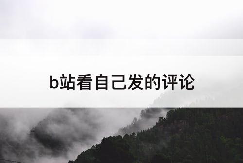b站看自己发的评论