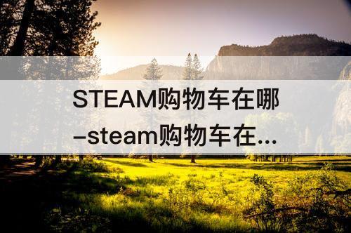 STEAM购物车在哪-steam购物车在哪里看
