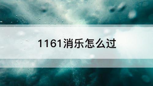 1161消乐怎么过