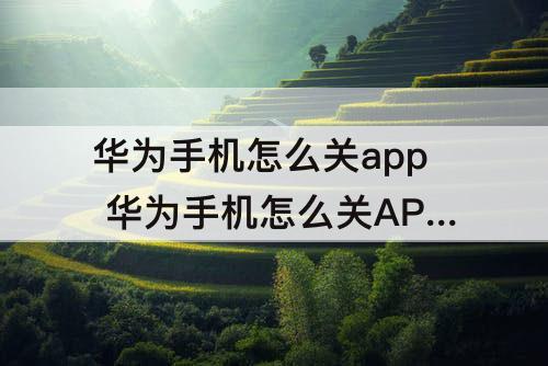 华为手机怎么关app 华为手机怎么关APP的推送消息