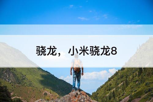 骁龙，小米骁龙8