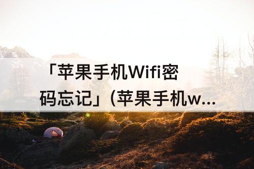 「苹果手机Wifi密码忘记」(苹果手机wifi密码忘记了怎么办视频)