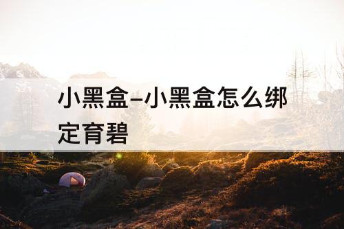 小黑盒-小黑盒怎么绑定育碧